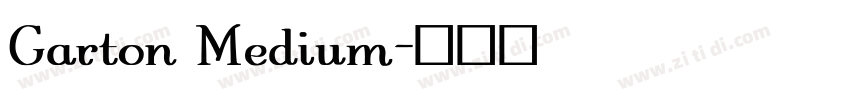 Garton Medium字体转换